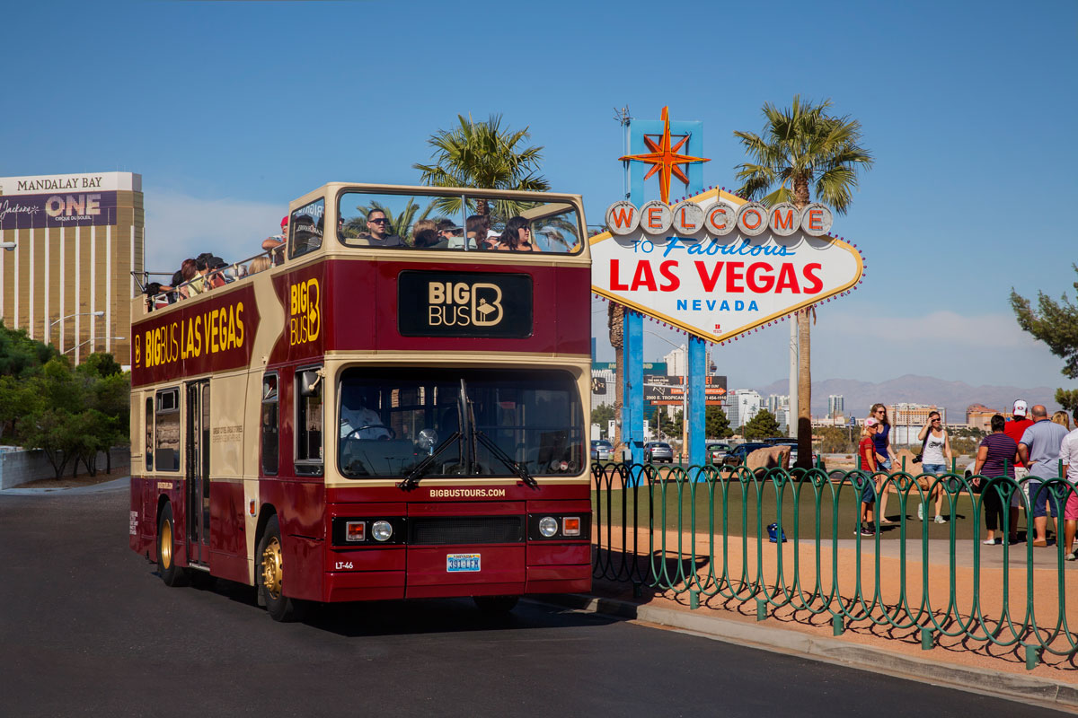 1 day bus tour from las vegas to los angeles